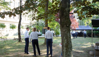 przystanek „Sport” na trawniku obok szkoły, 3 uczniów rzuca lotkami do tarczy zawieszonej na drzewie